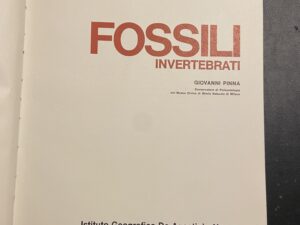 Meraviglie della natura FOSSILI Invertebrati
